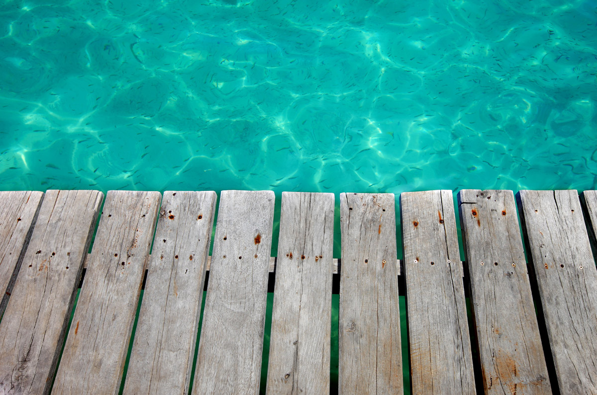 Oak Hall Holidays Sign up for Oak Hall Expeditions email bulletins